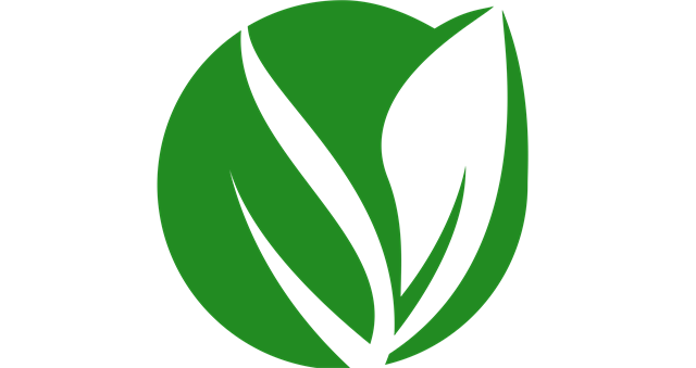 Eco Vision Logo